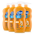 Dial Kids Body Wash Citrus 24 fl oz (Pack of 4)