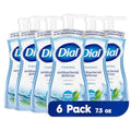 Dial Antibacterial Foaming Hand Wash Spring Water 7.5 fl oz (Pack of 6)