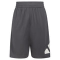 adidas Boys Elastic Waistband Essential Woven Sportswear Shorts Dark Grey