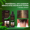 Anti-Dandruff Shampoo,Shampoo For Scalp Prone To Folliculitis, Dermatitis, Dandruff, Itchy And Flaky Scalp,Treats Dandruff And Seborrheic Dermatitis,Anti-Itch Shampoo