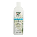 Tea Tree Therapy Conditioner - 16 Fl Oz